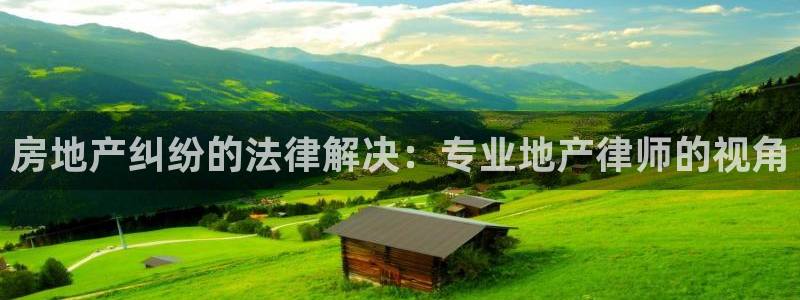 新宝5总代：房地产纠纷的法律解决：专业地产律师的视角