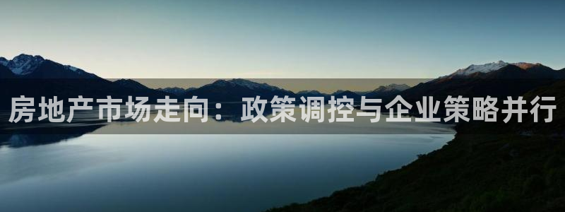 新宝5官方登录入口：房地产市场走向：政策调控与企业策略并行