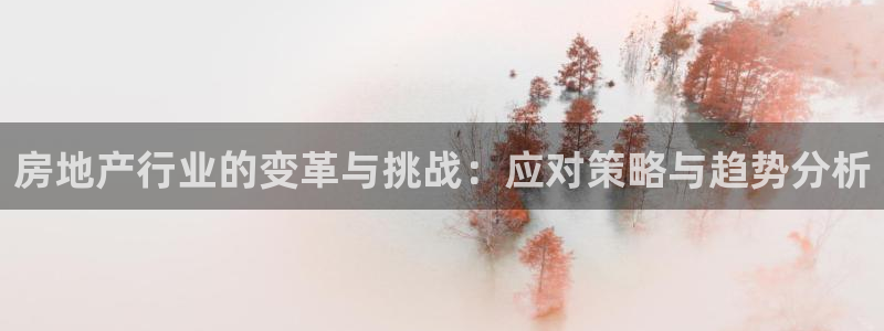 新宝cR一5：房地产行业的变革与挑战：应对策略与趋势分析