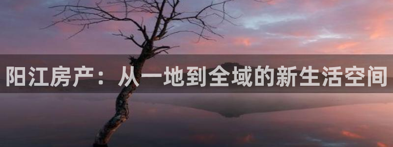 新宝5骗术：阳江房产：从一地到全域的新生活空间