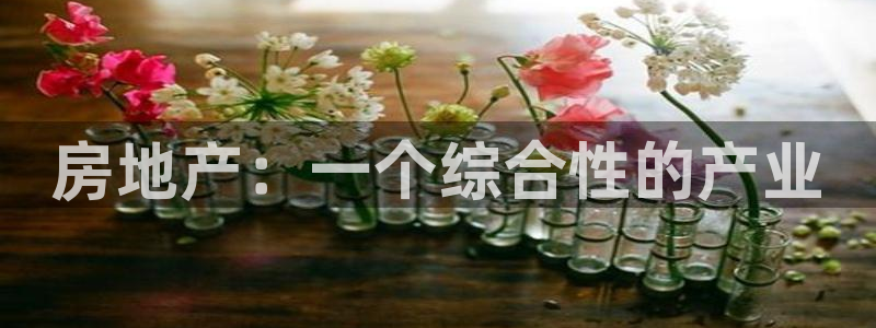 新宝5注册首页：房地产：一个综合性的产业