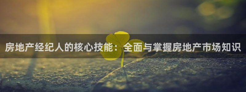 新宝5日：房地产经纪人的核心技能：全面与掌握房地产市场知识