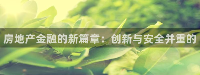 新宝5开户：房地产金融的新篇章：创新与安全并重的