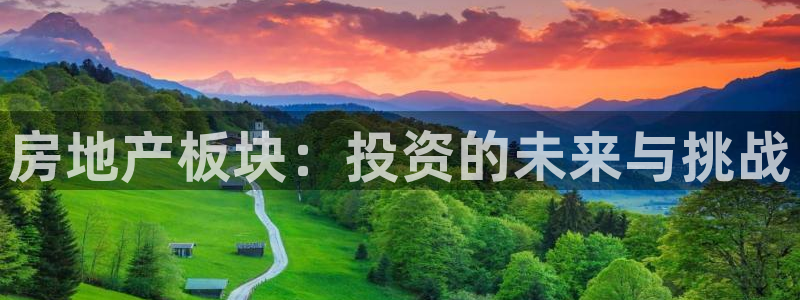 菲律宾新宝5老板：房地产板块：投资的未来与挑战
