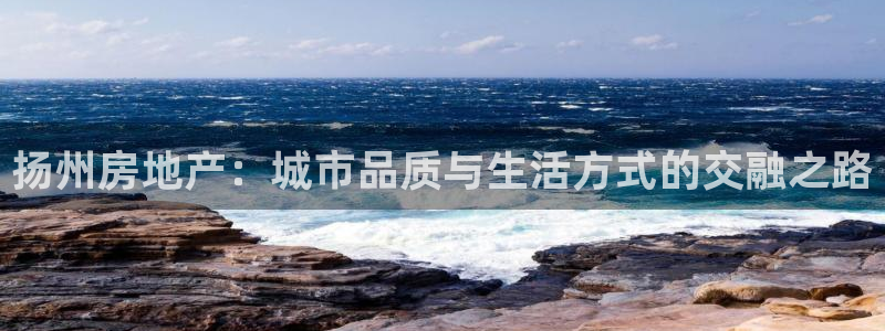 新宝5公司：扬州房地产：城市品质与生活方式的交融之路