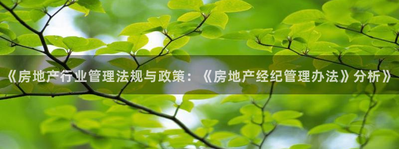 新宝5源码：《房地产行业管理法规与政策：《房地产经纪管理办法