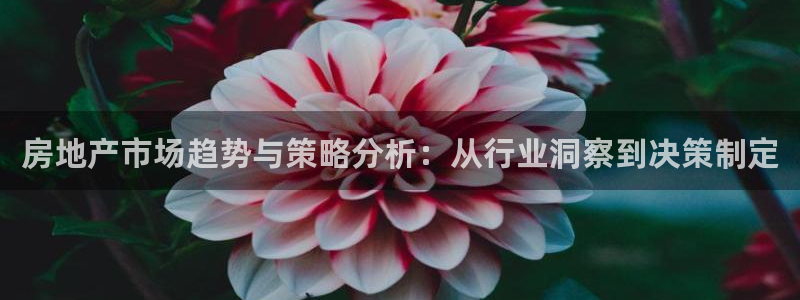新宝5周74OOO5：房地产市场趋势与策略分析：从行业洞察到