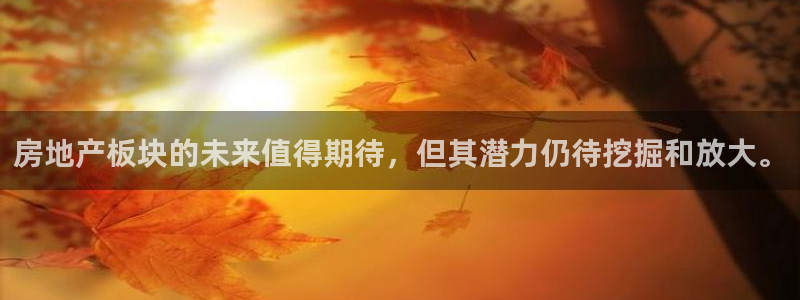 新宝5线路：房地产板块的未来值得期待，但其潜力仍待挖掘和放大