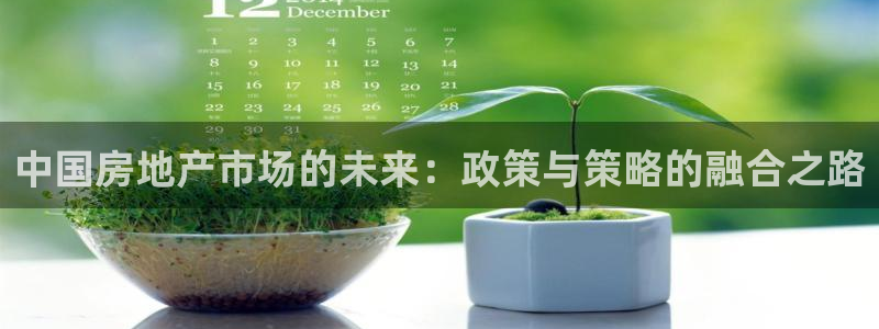 新宝5招商222111：中国房地产市场的未来：政策与策略的融