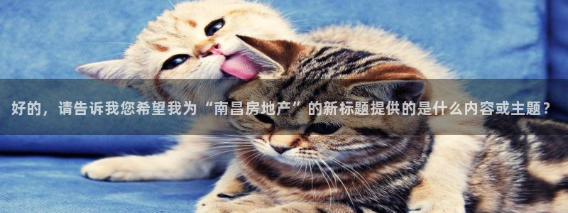 新宝rm5：好的，请告诉我您希望我为“南昌房地产”的新标题提