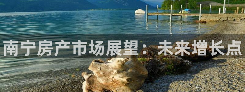 新宝5褚74OOO5：南宁房产市场展望：未来增长点