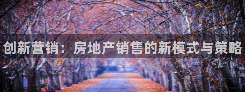 新宝5寂创33300散