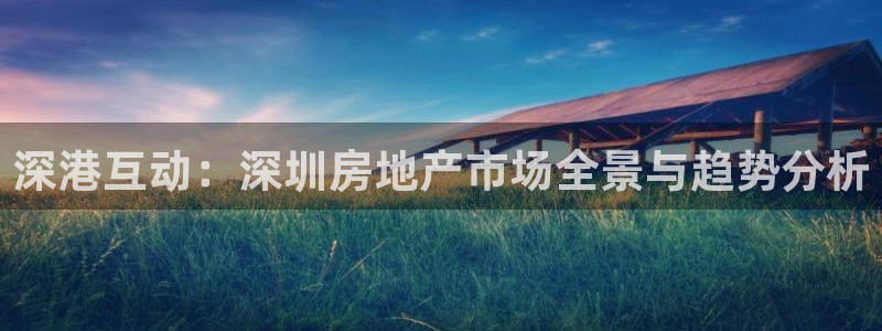 新宝5内部：深港互动：深圳房地产市场全景与趋势分析