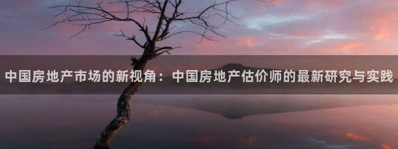 新宝5官网67五壹叁八：中国房地产市场的新视角：中国房地产估