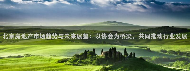 新宝5上来77542：北京房地产市场趋势与未来展望：以协会为