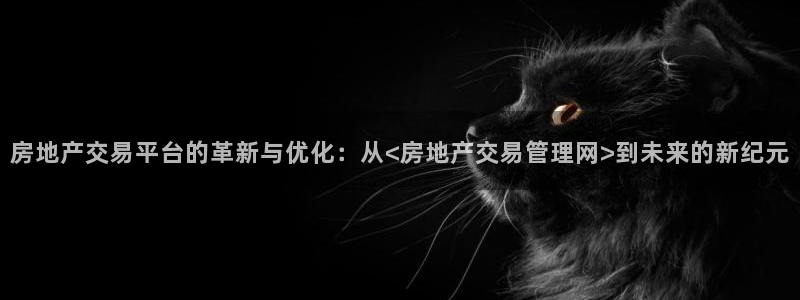 新宝5怎么代理：房地产交易平台的革新与优化：从<房地产交易管