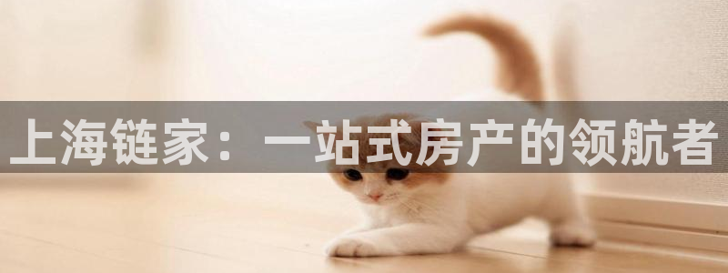 新宝5官网：上海链家：一站式房产的领航者