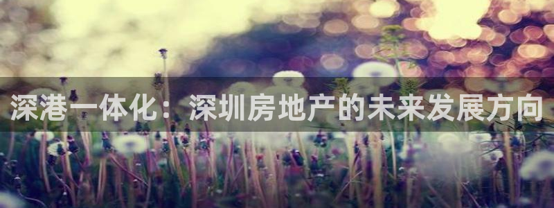 新宝娱乐5：深港一体化：深圳房地产的未来发展方向