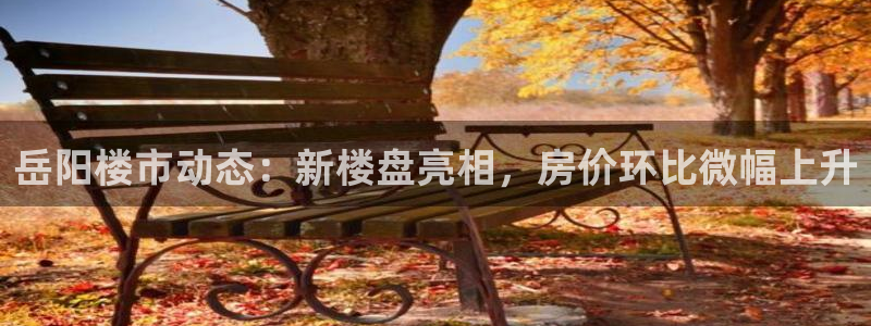 新宝5湫333 00：岳阳楼市动态：新楼盘亮相，房价环比微幅