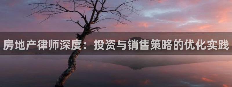 新宝5下载测试：房地产律师深度：投资与销售策略的优化实践