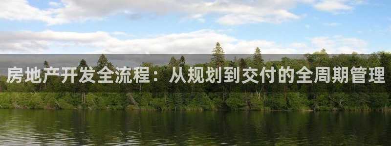 股票5G宝新：房地产开发全流程：从规划到交付的全周期管理