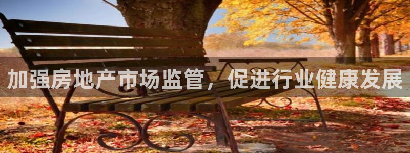 新宝cR一5：加强房地产市场监管，促进行业健康发展