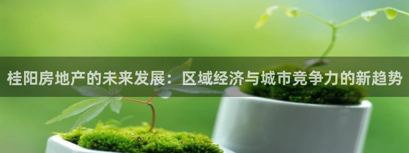 新宝5 代理：桂阳房地产的未来发展：区域经济与城市竞争力的新