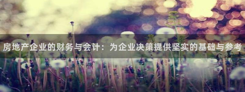 新宝5招商部：房地产企业的财务与会计：为企业决策提供坚实的基