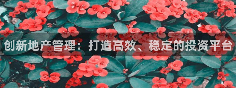 新宝5手机版：创新地产管理：打造高效、稳定的投资平台