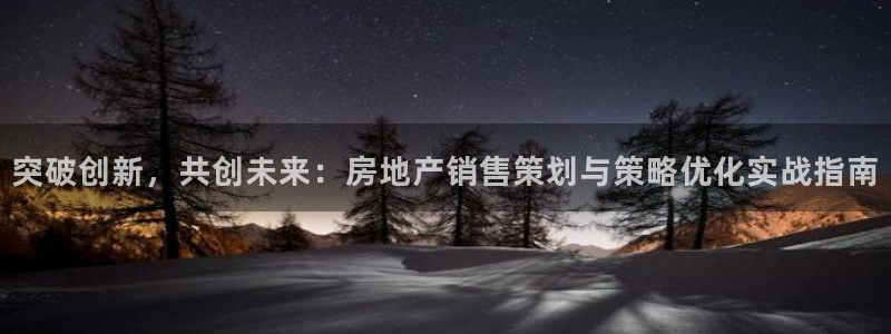 新宝5娱乐主管：突破创新，共创未来：房地产销售策划与策略优化