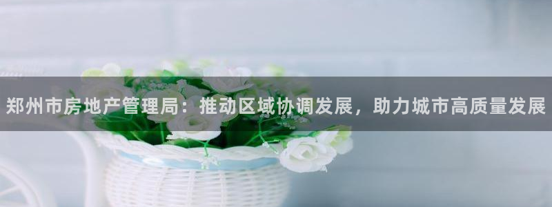 新宝5娱乐学：郑州市房地产管理局：推动区域协调发展，助力城市