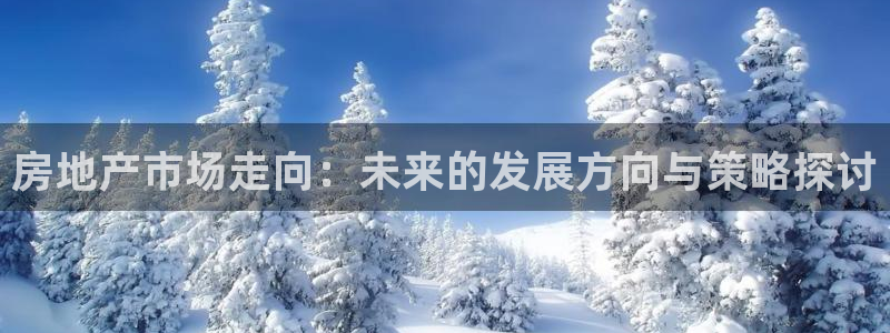 新宝5日740005蔻：房地产市场走向：未来的发展方向与策略