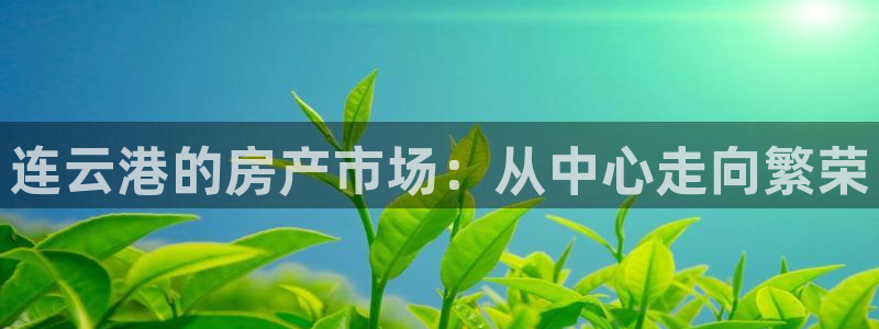 新宝cR一5：连云港的房产市场：从中心走向繁荣