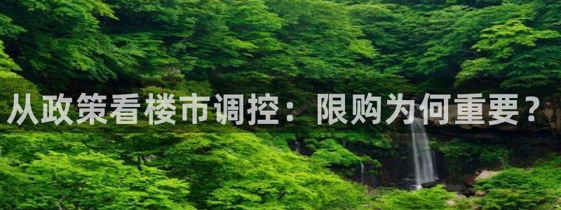 新宝5吕74OOO5：从政策看楼市调控：限购为何重要？