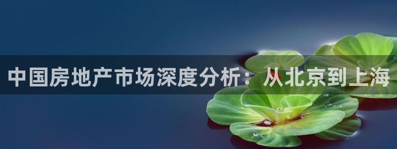 新宝5总代：中国房地产市场深度分析：从北京到上海