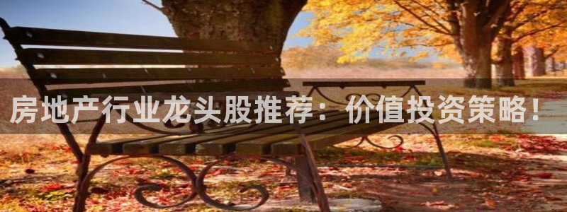 新宝3得74OO5：房地产行业龙头股推荐：价值投资策略！