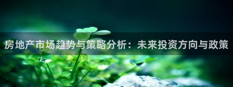 新宝5日：房地产市场趋势与策略分析：未来投资方向与政策
