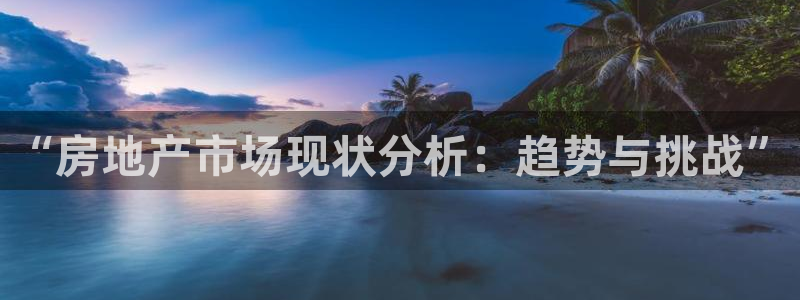 新宝m2O5O5O：“房地产市场现状分析：趋势与挑战”