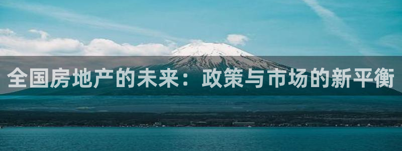 5新宝：全国房地产的未来：政策与市场的新平衡