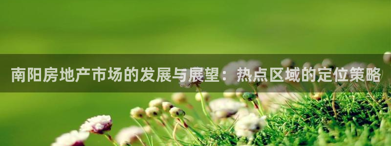 新宝5测速：南阳房地产市场的发展与展望：热点区域的定位策略