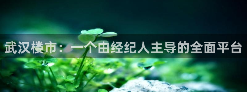 新宝5平台登录：武汉楼市：一个由经纪人主导的全面平台