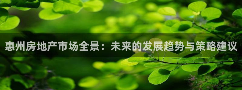 新宝5谠631257：惠州房地产市场全景：未来的发展趋势与策