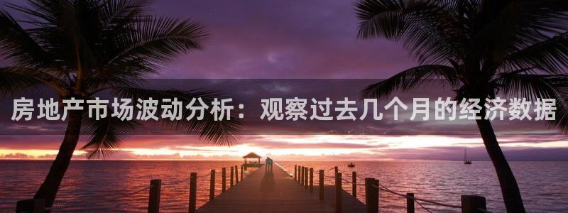 新宝5招商部：房地产市场波动分析：观察过去几个月的经济数据