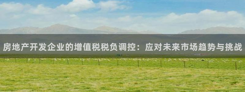 新宝5如何下载：房地产开发企业的增值税税负调控：应对未来市场