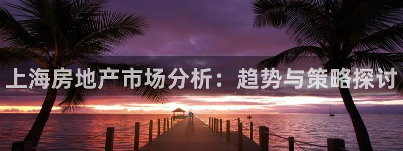新宝5注册流程：上海房地产市场分析：趋势与策略探讨