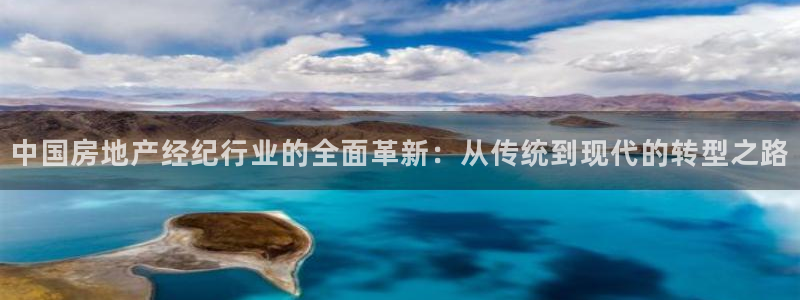 新宝5内部：中国房地产经纪行业的全面革新：从传统到现代的转型