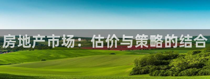 新宝5日：房地产市场：估价与策略的结合
