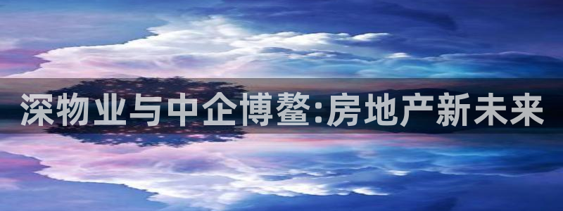 新宝5浗维33 300：深物业与中企博鳌:房地产新未来