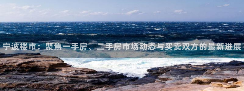 新宝5网址：宁波楼市：聚焦一手房、二手房市场动态与买卖双方的