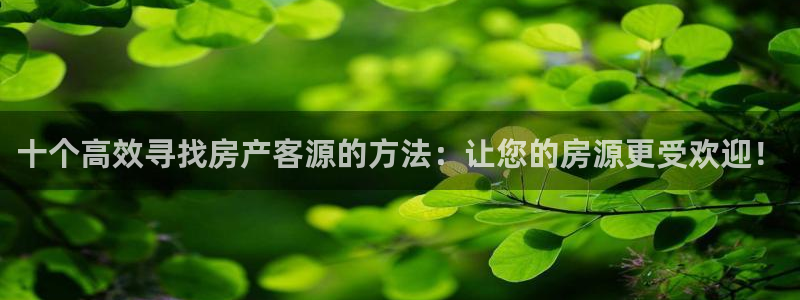 新宝5手机版登录：十个高效寻找房产客源的方法：让您的房源更受